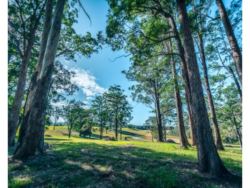 50 School Hill Road, Urunga NSW 2455