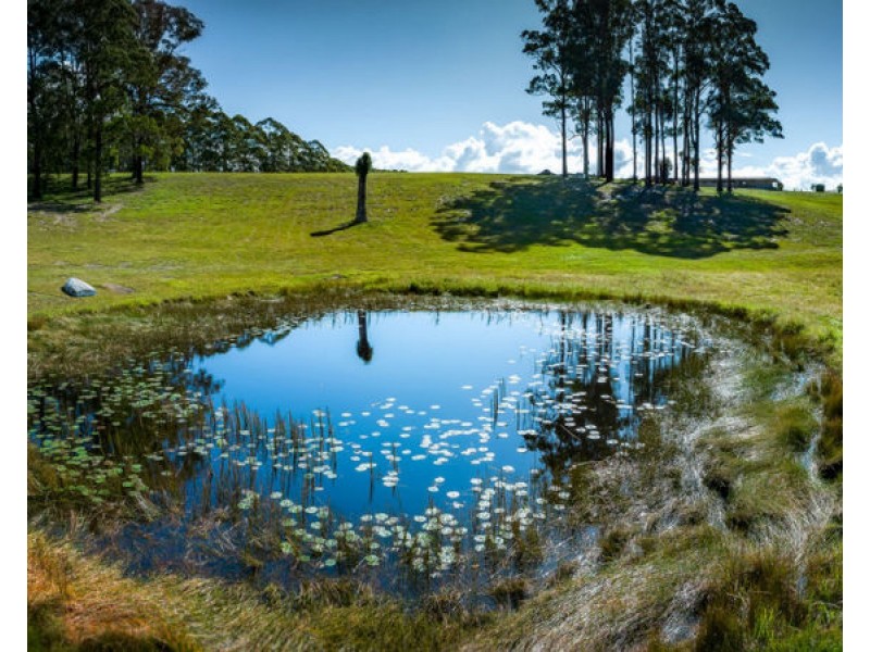 50 School Hill Road, Urunga NSW 2455