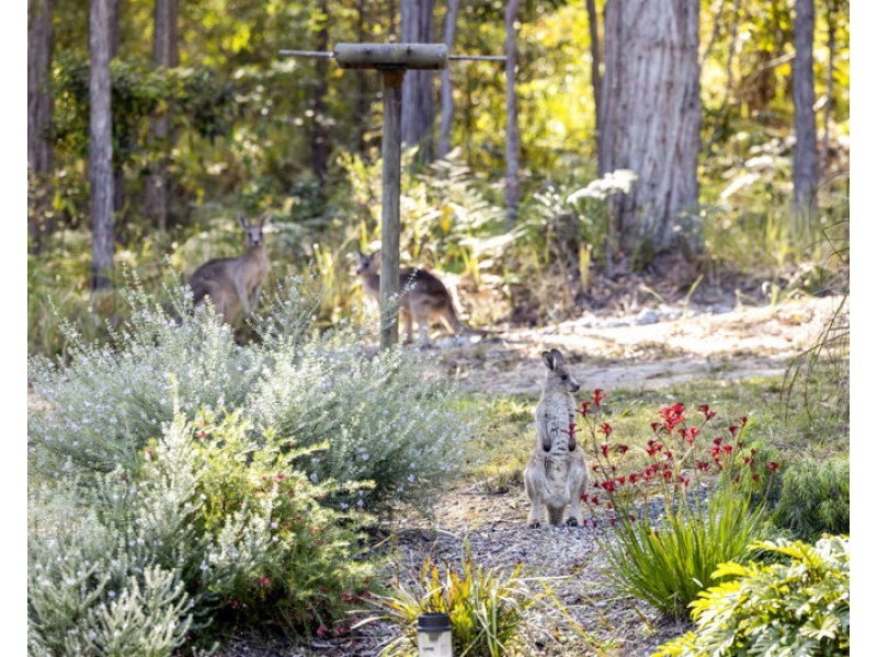 15 Oyster Drive, Valla NSW 2448