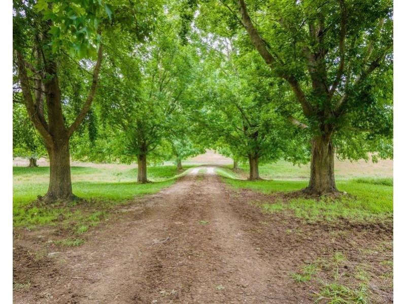 937 North Bank Road, Raleigh NSW 2454