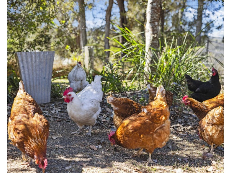 22 Letitia Close, North Macksville NSW 2447