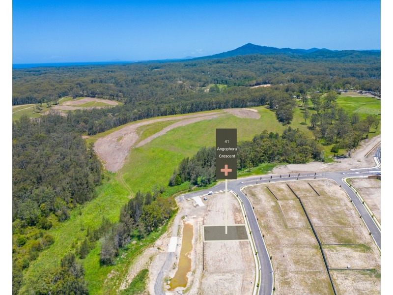 41 Angophora Crescent, Urunga NSW 2455