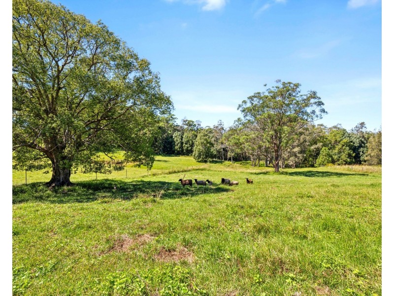167 Old Pacific Highway, Raleigh NSW 2454
