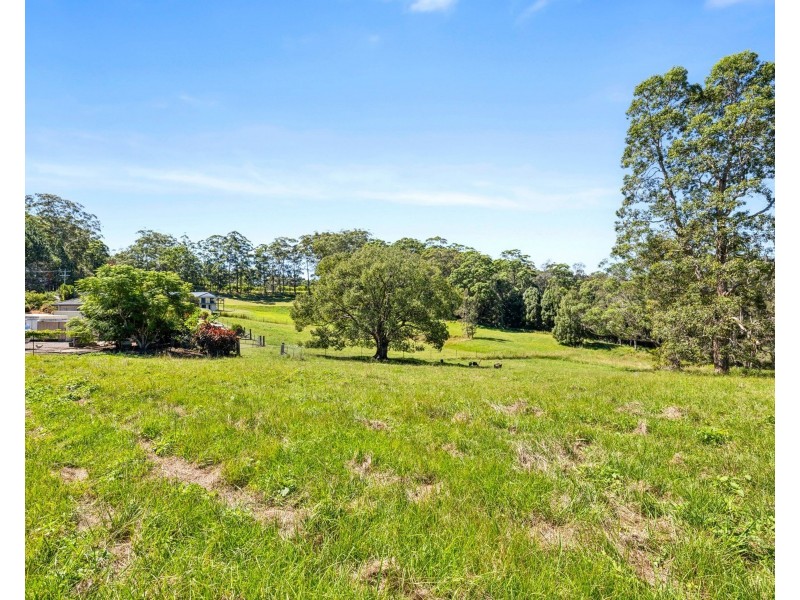 167 Old Pacific Highway, Raleigh NSW 2454