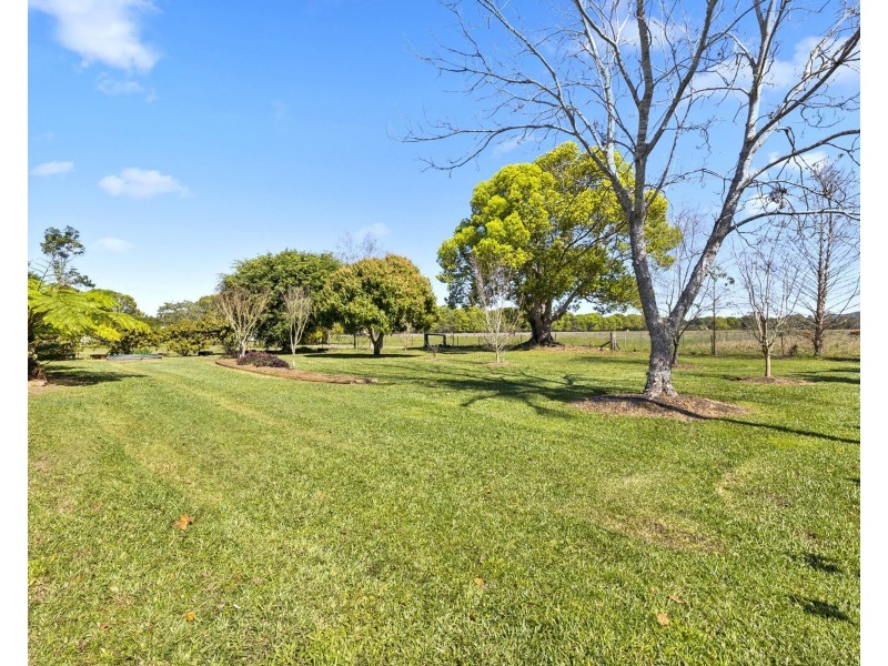 50 Victor Street, Raleigh NSW 2454