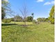 50 Victor Street, Raleigh NSW 2454