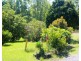 50 Victor Street, Raleigh NSW 2454