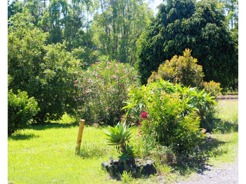 50 Victor Street, Raleigh NSW 2454