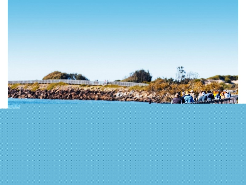 Lot 123 Angophora Crescent, Urunga NSW 2455