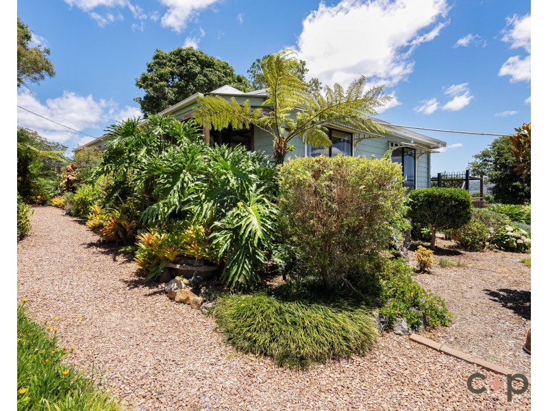 174 Waterfall Way, Raleigh NSW 2454
