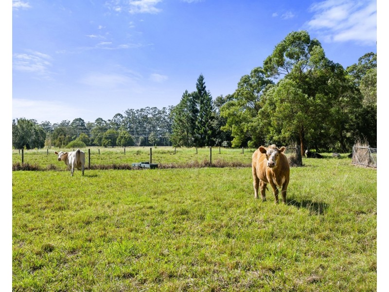 14 Riverside Drive, Urunga NSW 2455