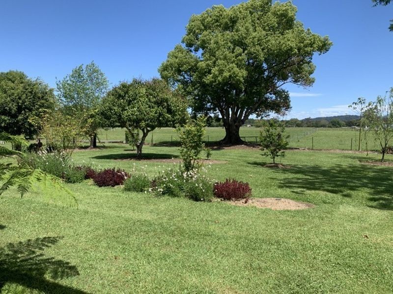 50 Victor Street, Raleigh NSW 2454