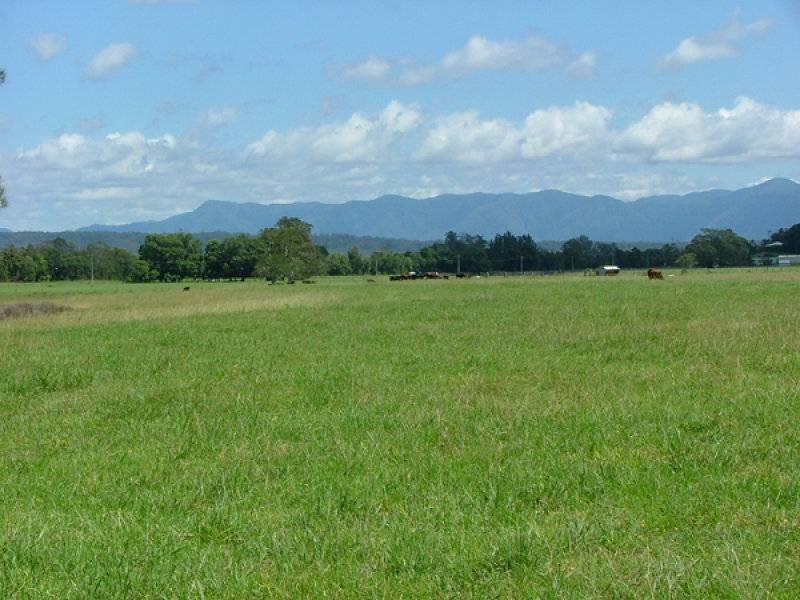 Repton NSW 2454