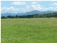 Repton NSW 2454