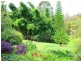 36 Gordon Rd, Raleigh NSW 2454