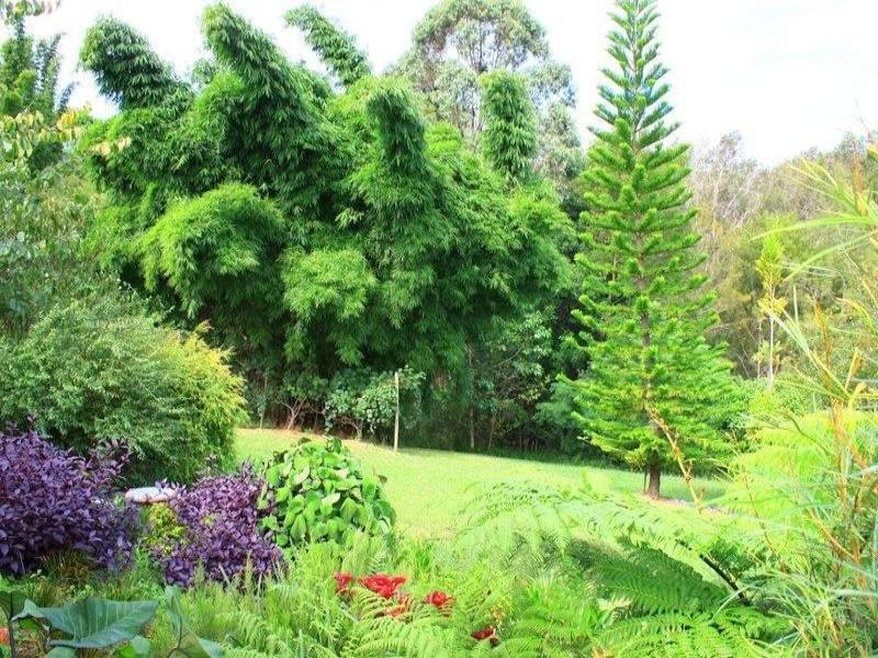 36 Gordon Rd, Raleigh NSW 2454