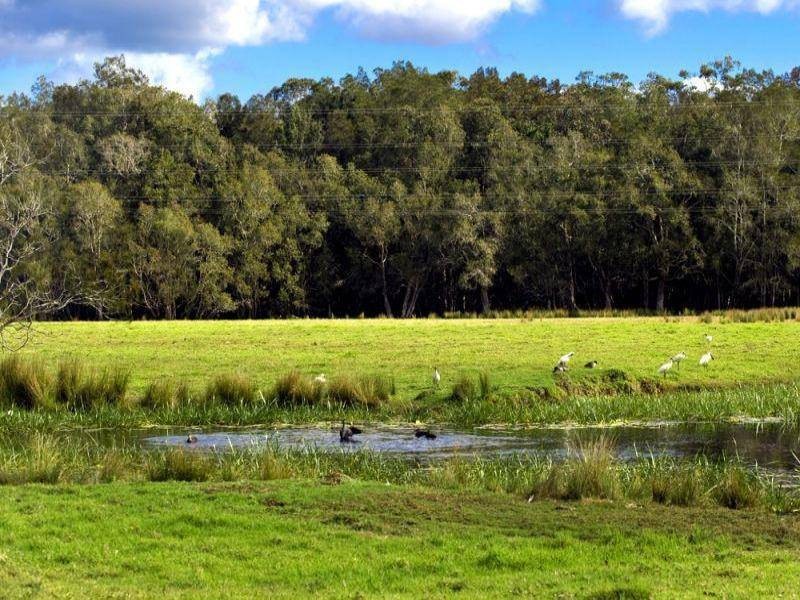 17 Short Cut Road, Urunga NSW 2455