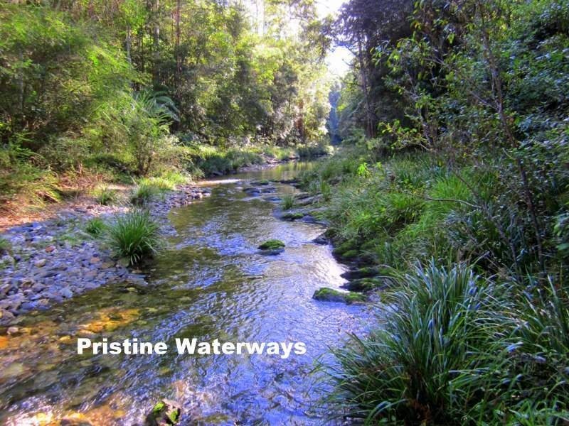 2613 Kalang Road, Bellingen NSW 2454