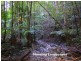 2613 Kalang Road, Bellingen NSW 2454