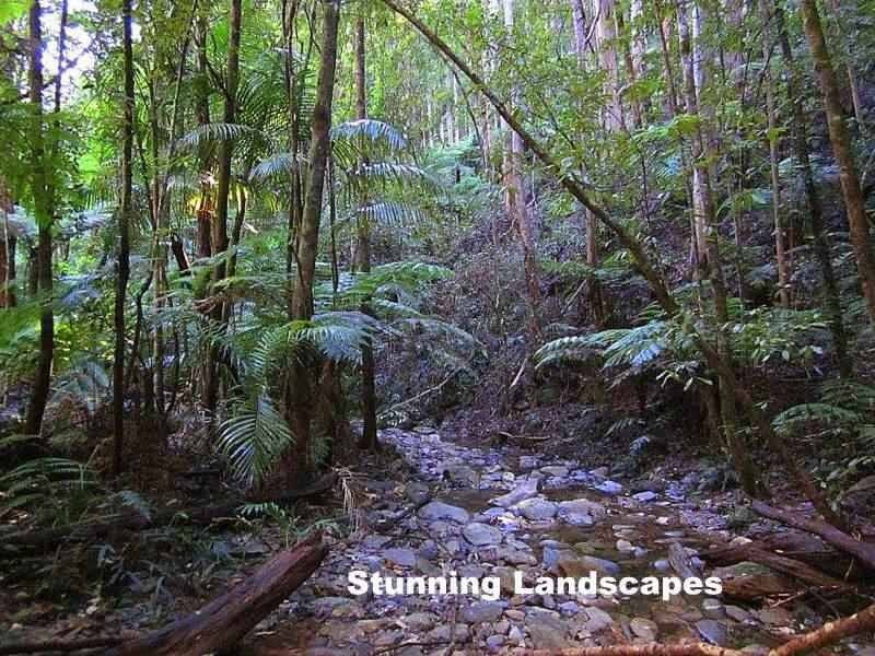 2613 Kalang Road, Bellingen NSW 2454