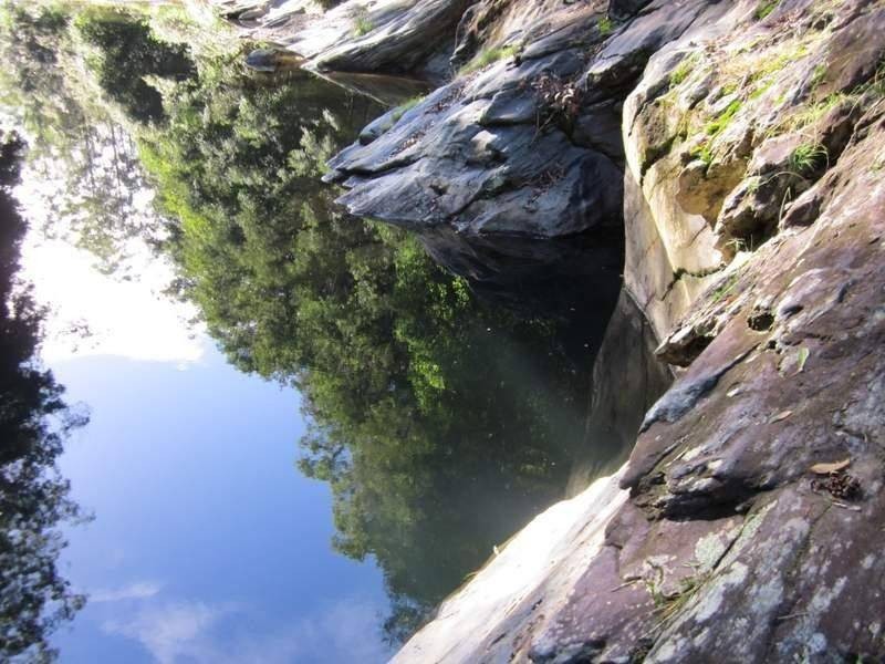 2613 Kalang Road, Bellingen NSW 2454
