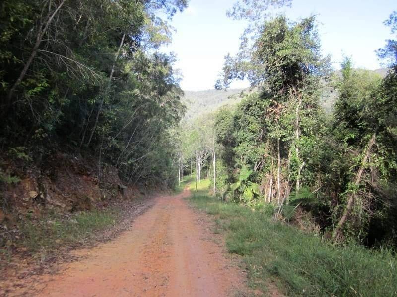 2613 Kalang Road, Bellingen NSW 2454