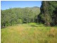 2613 Kalang Road, Bellingen NSW 2454