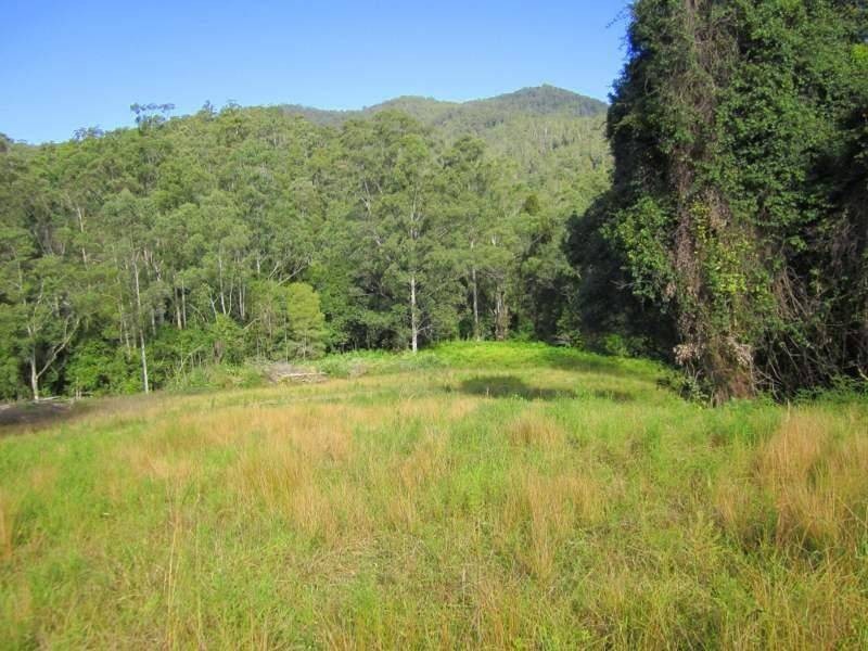 2613 Kalang Road, Bellingen NSW 2454