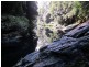 2613 Kalang Road, Bellingen NSW 2454