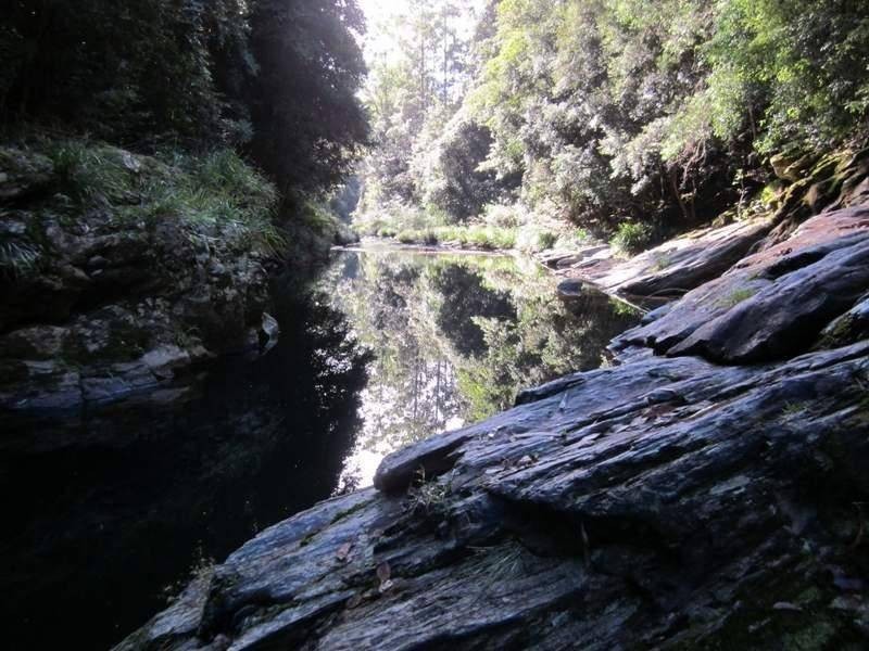 2613 Kalang Road, Bellingen NSW 2454