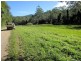 2613 Kalang Road, Bellingen NSW 2454