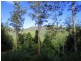 2613 Kalang Road, Bellingen NSW 2454
