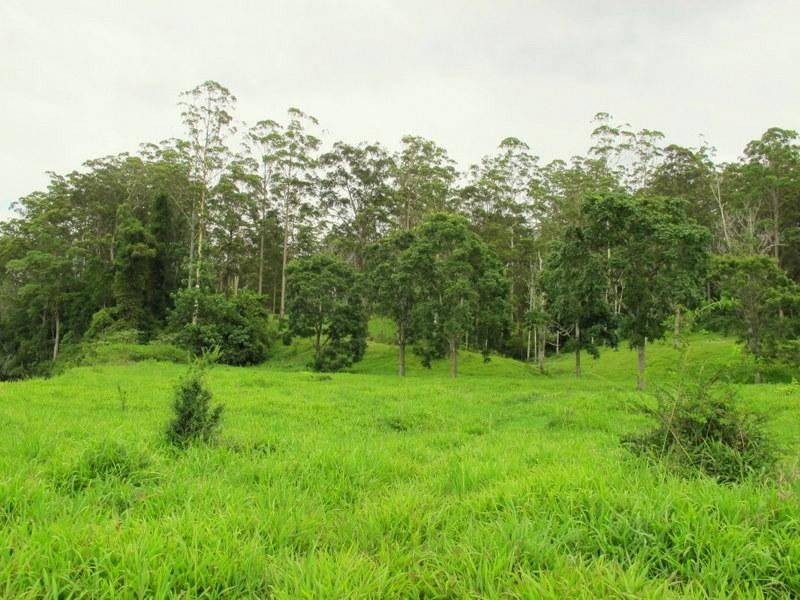 1265 South Arm Rd, Urunga NSW 2455