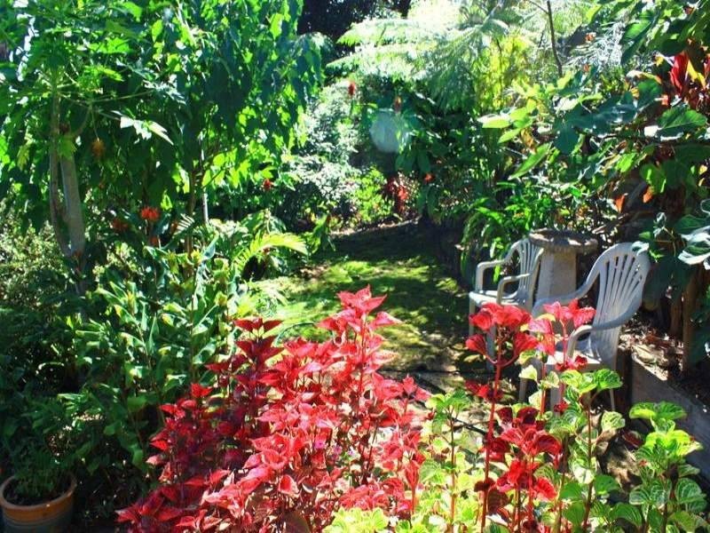 58 Old Pacific Hwy, Raleigh NSW 2454