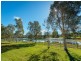 6 Lake  Court, Urunga NSW 2455