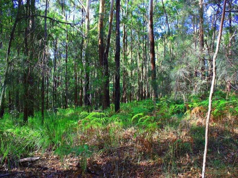 Lot 302 Schnapper Beach Road, Urunga NSW 2455
