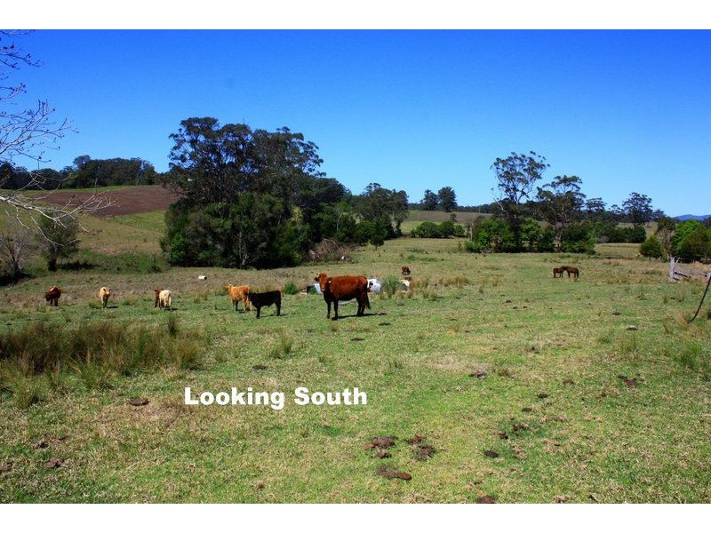 537 Old Coast Road, Nambucca Heads NSW 2448