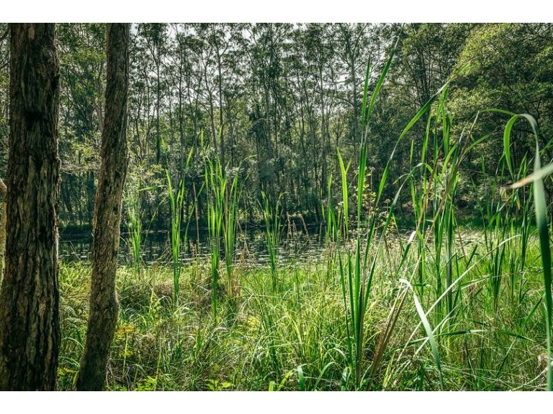 1316 Martells Road, Urunga NSW 2455