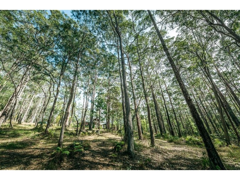 1316 Martells Road, Urunga NSW 2455
