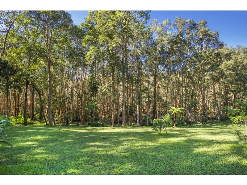 229 Short Cut Road, Raleigh NSW 2454
