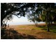 29 Beach Road, Pialba QLD 4655