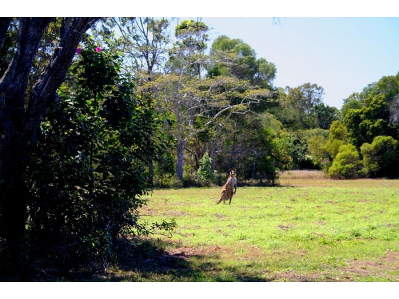 6 Sandrabarbara Drive, Booral QLD 4655