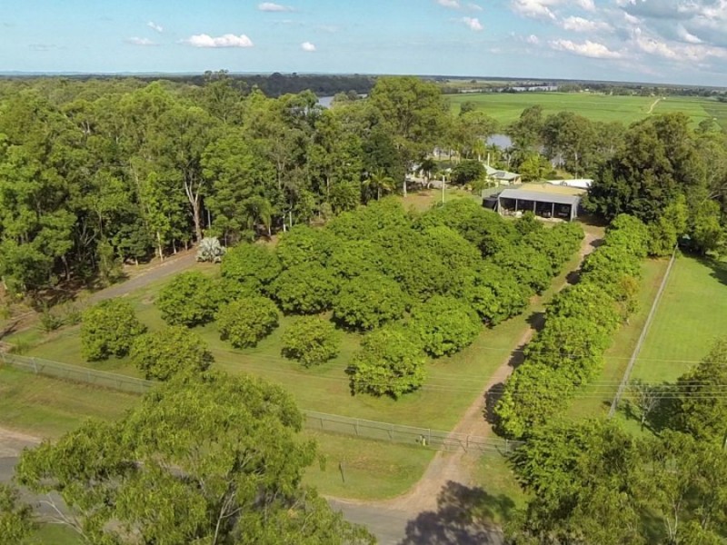 7 Ramsay Court, Dundathu QLD 4650