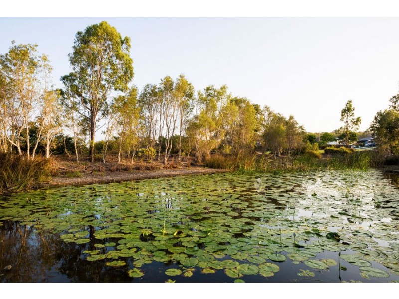 30 Parklands Boulevard, Wondunna QLD 4655