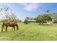 247 Condor Drive, Sunshine Acres QLD 4655