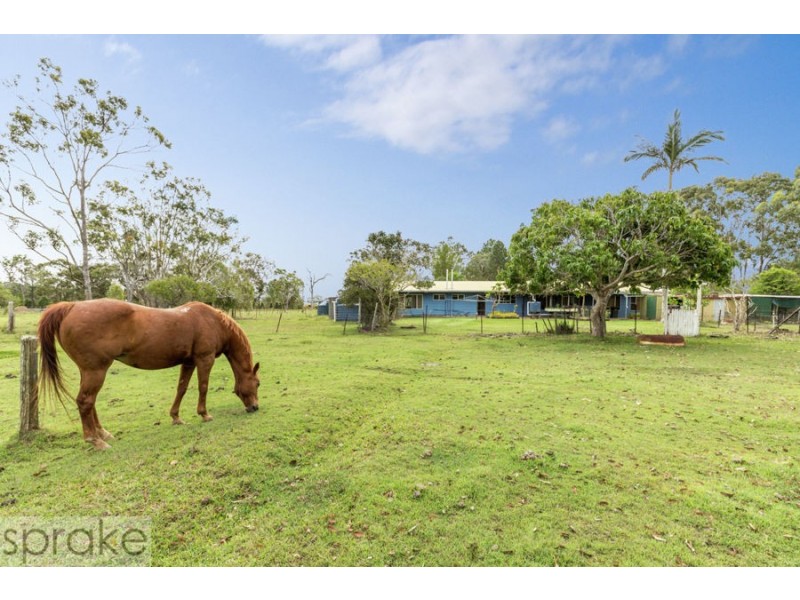 247 Condor Drive, Sunshine Acres QLD 4655