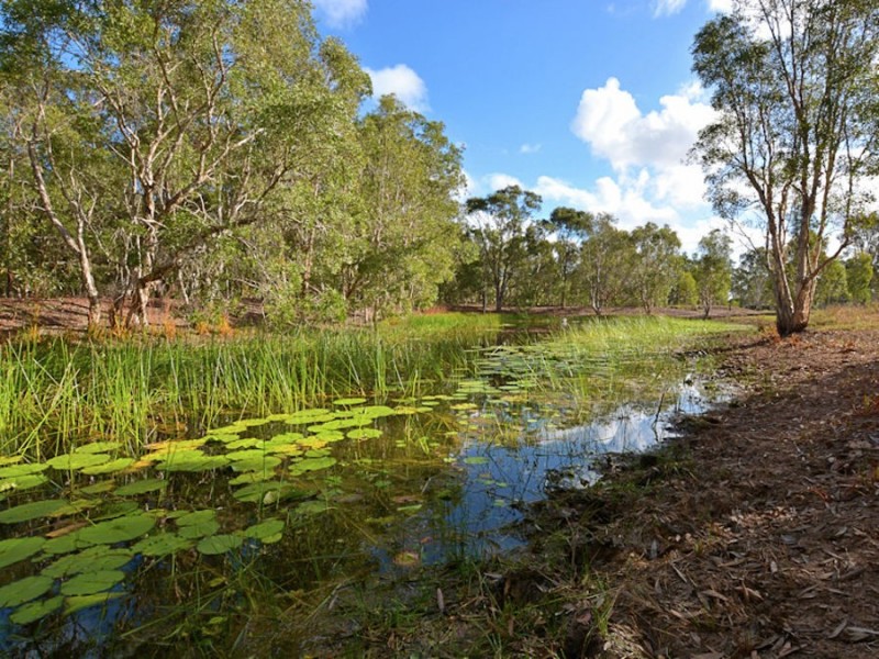 23 Parke Avenue, Sunshine Acres QLD 4655