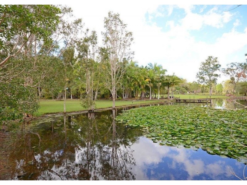 62 Lord Street, Sunshine Acres QLD 4655
