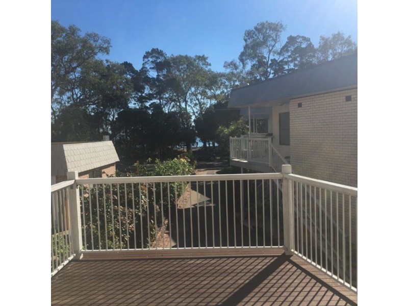 7/480 Esplanade, Torquay QLD 4655