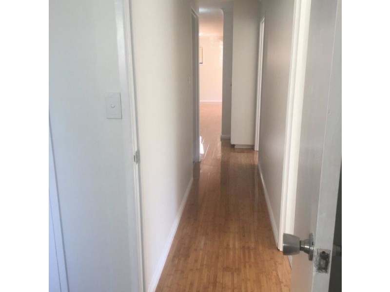 7/480 Esplanade, Torquay QLD 4655